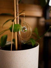 Load image into Gallery viewer, Galactica Plant Suncatcher. Plant Prism