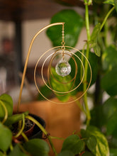 Load image into Gallery viewer, Galactica Plant Suncatcher. Plant Prism