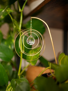 Galactica Plant Suncatcher. Plant Prism